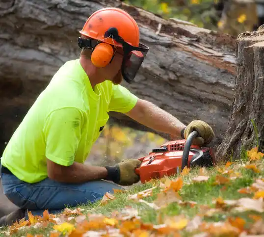 tree services Fessenden